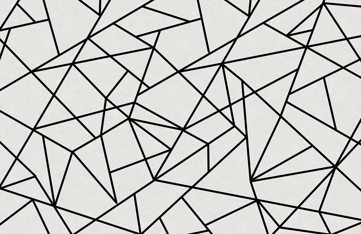 Papier peint mural à motif géométrique linéaire avec motifs de lignes noires sur fond clair