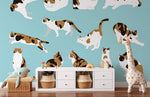 Papier peint mural action de chat - Vignette | Mr Papier Peint