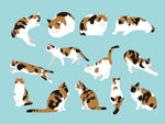 Papier peint mural action de chat - Vignette | Mr Papier Peint