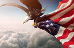 Papier peint mural Aigle des États-Unis majesté et liberté en panoramique - Vignette | Mr Papier Peint