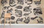 Papier Peint Mural Animaux Sauvages - Vignette | Mr Papier Peint