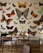 Papier peint mural antique de papillons et de mites - Vignette | Mr Papier Peint