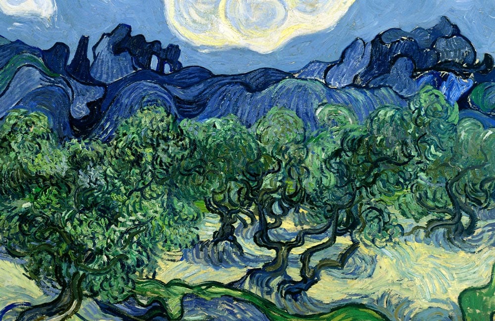 Peint mural arbres d’oliviers, tableau impressionniste pour papier peint mural