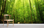 Papier peint panoramique forêt lumière ambiance nature apaisante - Vignette | Mr Papier Peint