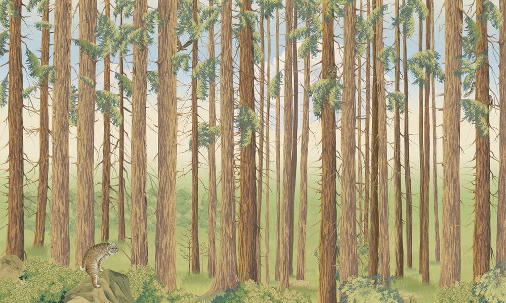 Papier peint mural avec des troncs d’arbres denses - Le meilleur Papier peint panoramique Sur mesure