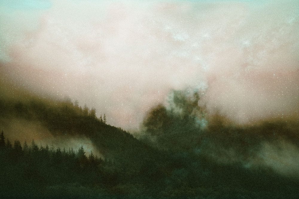 Papier peint mural forêt brumeuse au crépuscule, décoration personnalisée nature