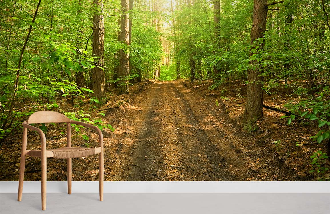 Chaise en bois brun clair avec siège tissé, idéale pour décoration personnalisée avec papier peint mural motif d’allée forestière