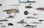 Papier peint mural avec motif de poissons marins - Vignette | Mr Papier Peint