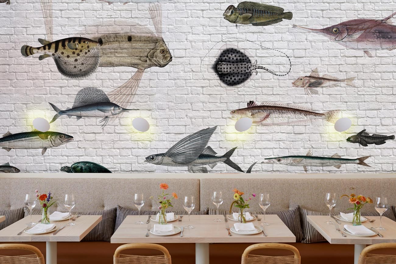 Papier peint mural avec motif de poissons marins - Le meilleur Papier peint panoramique Sur mesure