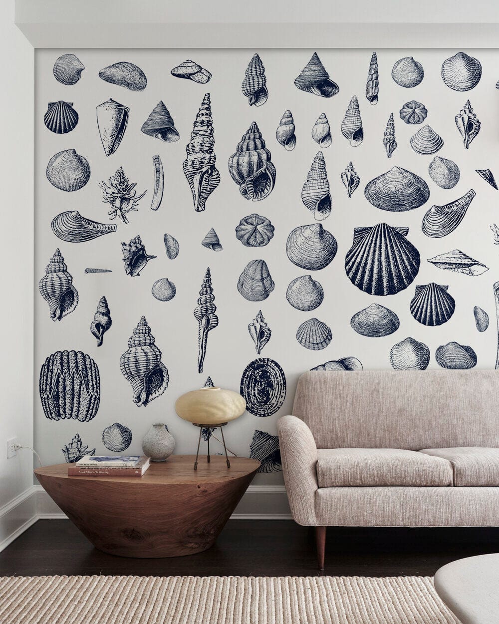 Papier peint mural avec spécimens de coquillages en noir et blanc, décoration élégante