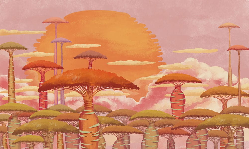 Papier peint mural Baobab et nuages au coucher du soleil - Le meilleur Papier peint panoramique Sur mesure