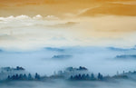 Papier peint mural brouillard Forêt Mystique et Évasion Onirique - Vignette | Mr Papier Peint