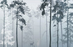 Papier peint mural Brouillard Matinal évasion dans la brume douce - Vignette | Mr Papier Peint