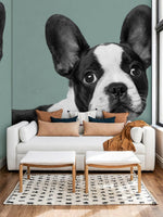 Papier peint mural Bulldog de Boston - Vignette | Mr Papier Peint