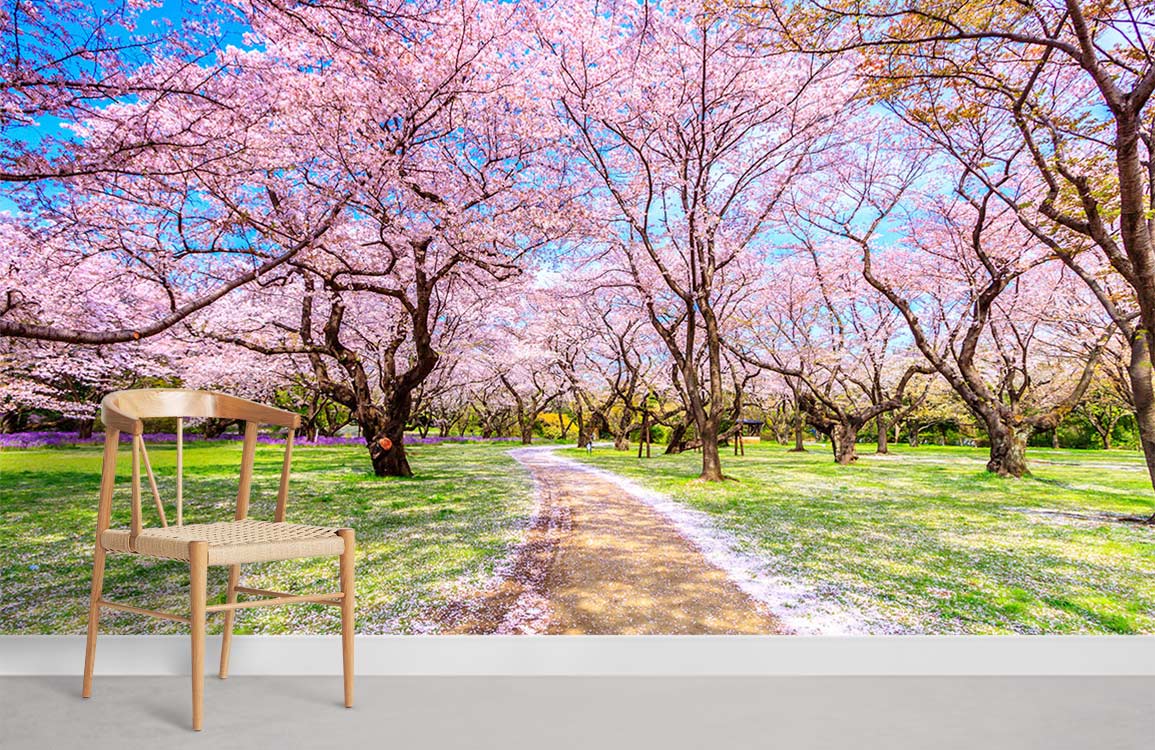 Papier peint mural Chemin de Sakura - Le meilleur Papier peint panoramique Sur mesure