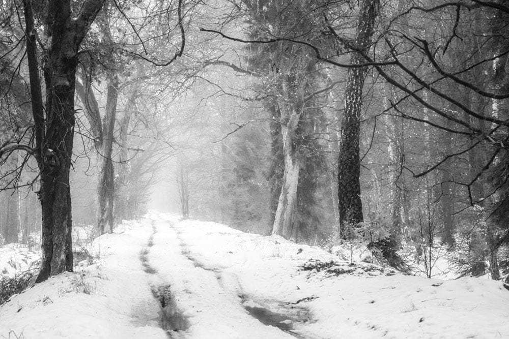 Papier peint mural Chemin enneigé épais - Le meilleur Papier peint panoramique Sur mesure