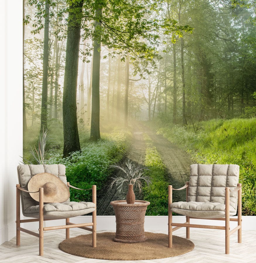 Papier peint mural chemin vers la forêt avec rayons de soleil à travers les arbres