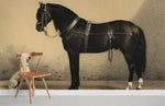 Papier peint mural cheval et chien - Vignette | Mr Papier Peint