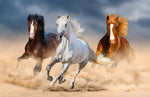 Papier peint mural chevaux au galop élégance et liberté en mouvement - Vignette | Mr Papier Peint