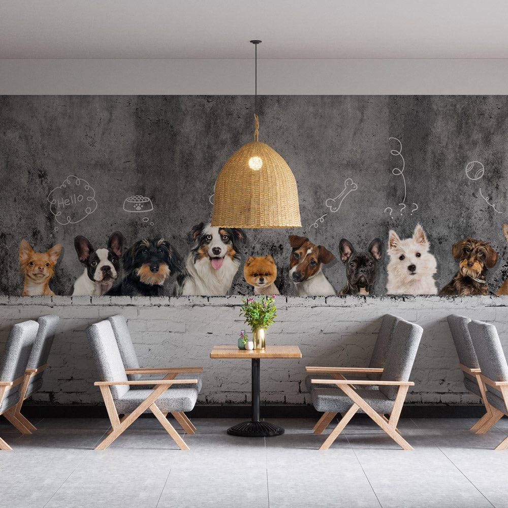 Papier peint mural Chiens en réflexion - Le meilleur Papier peint panoramique Sur mesure