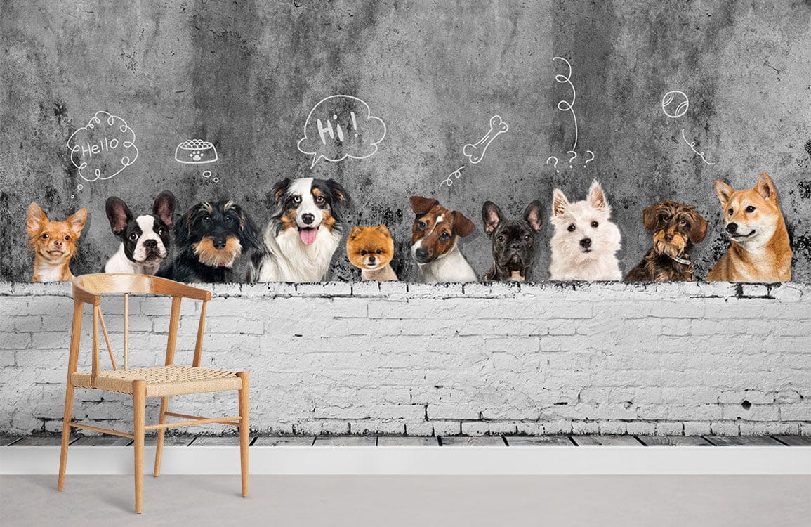 Papier peint mural Chiens en réflexion - Le meilleur Papier peint panoramique Sur mesure