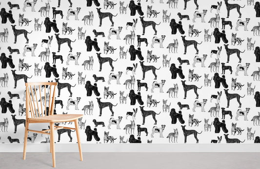 Papier peint mural Chiens sévères - Le meilleur Papier peint panoramique Sur mesure