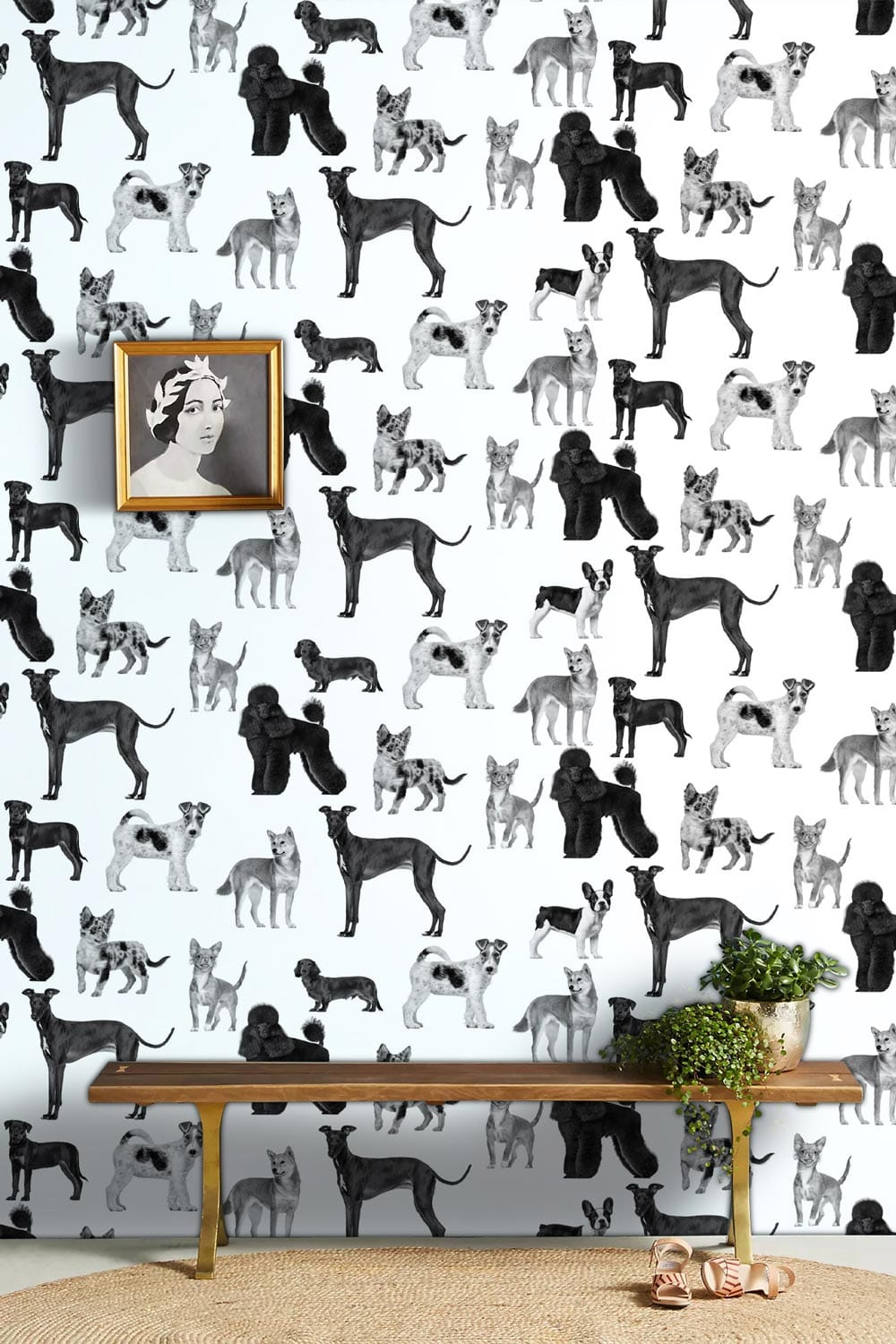 Papier peint mural Chiens sévères - Le meilleur Papier peint panoramique Sur mesure