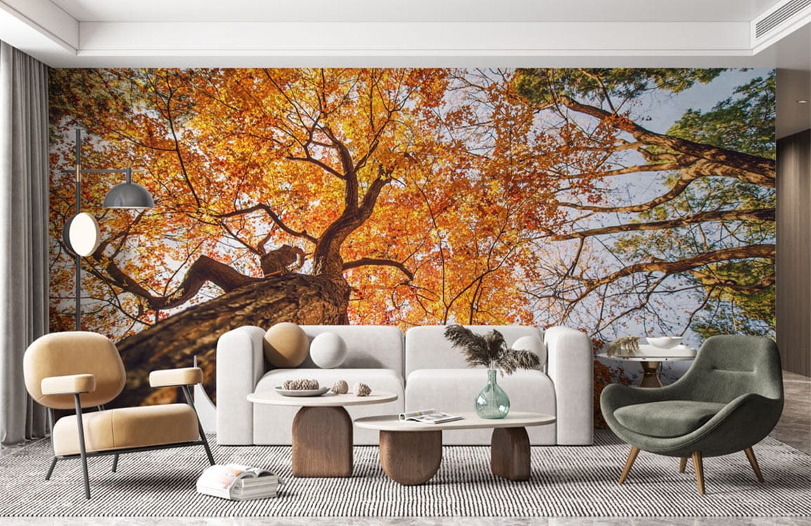 Papier peint mural Ciel d’Érable en Automne - Le meilleur Papier peint panoramique Sur mesure