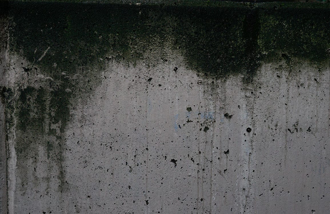 Peinture murale ciment avec mur en béton grunge, mousse et traces de saleté