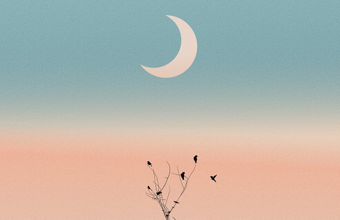 Papier Peint Mural Clair de Lune Ombré - Le meilleur Papier peint panoramique Sur mesure