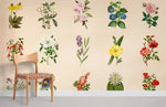 Papier Peint Mural Collection de Fleurs II - Vignette | Mr Papier Peint