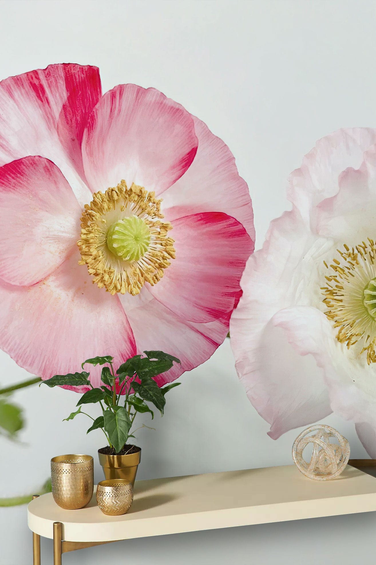 Papier peint mural Coquelicots roses doux - Le meilleur Papier peint panoramique Sur mesure