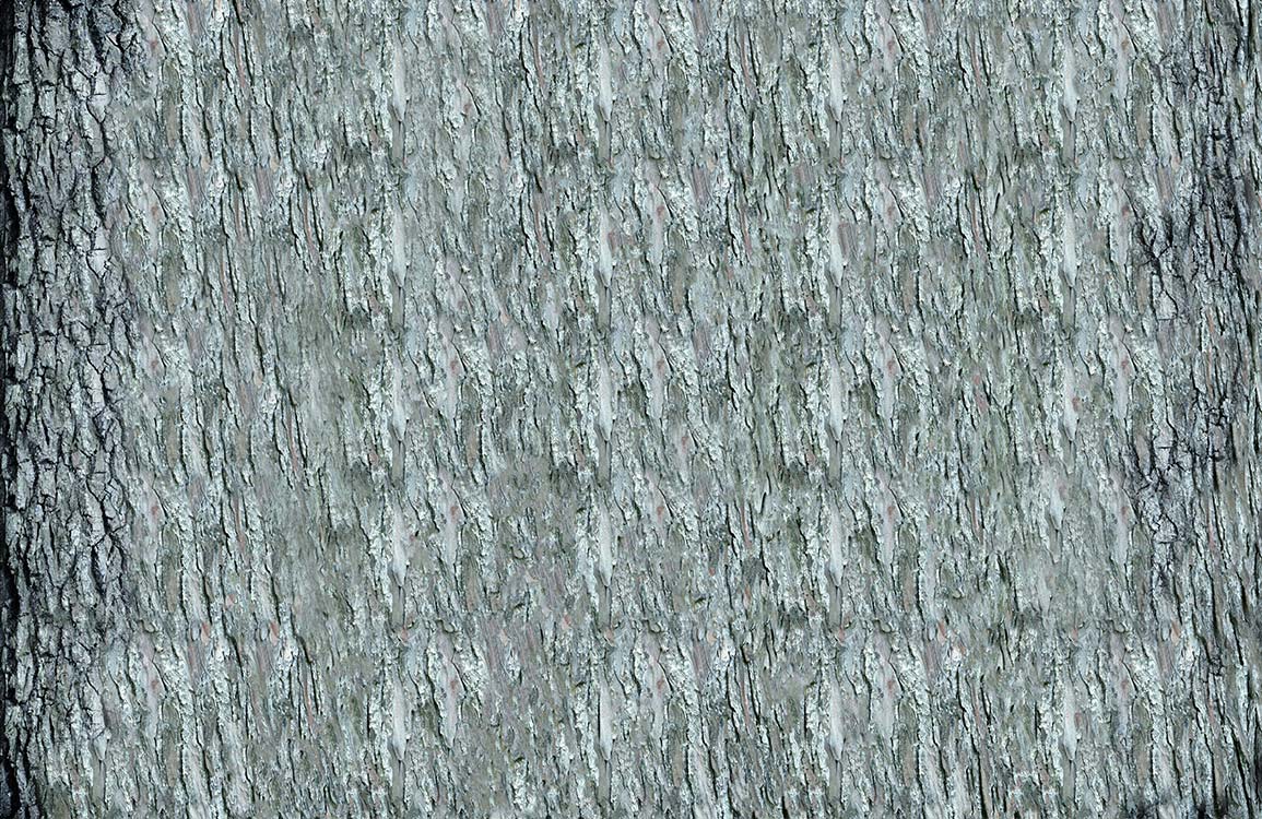 Papier peint mural Cortex - Le meilleur Papier peint panoramique Sur mesure