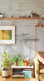 Papier peint mural couleur gris cendré - Vignette | Mr Papier Peint