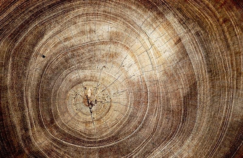 Papier Peint Mural Crack Wood II - Le meilleur Papier peint panoramique Sur mesure