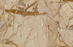 Papier Peint Mural Cristal Orange et Marron Éclat Naturel - Vignette | Mr Papier Peint
