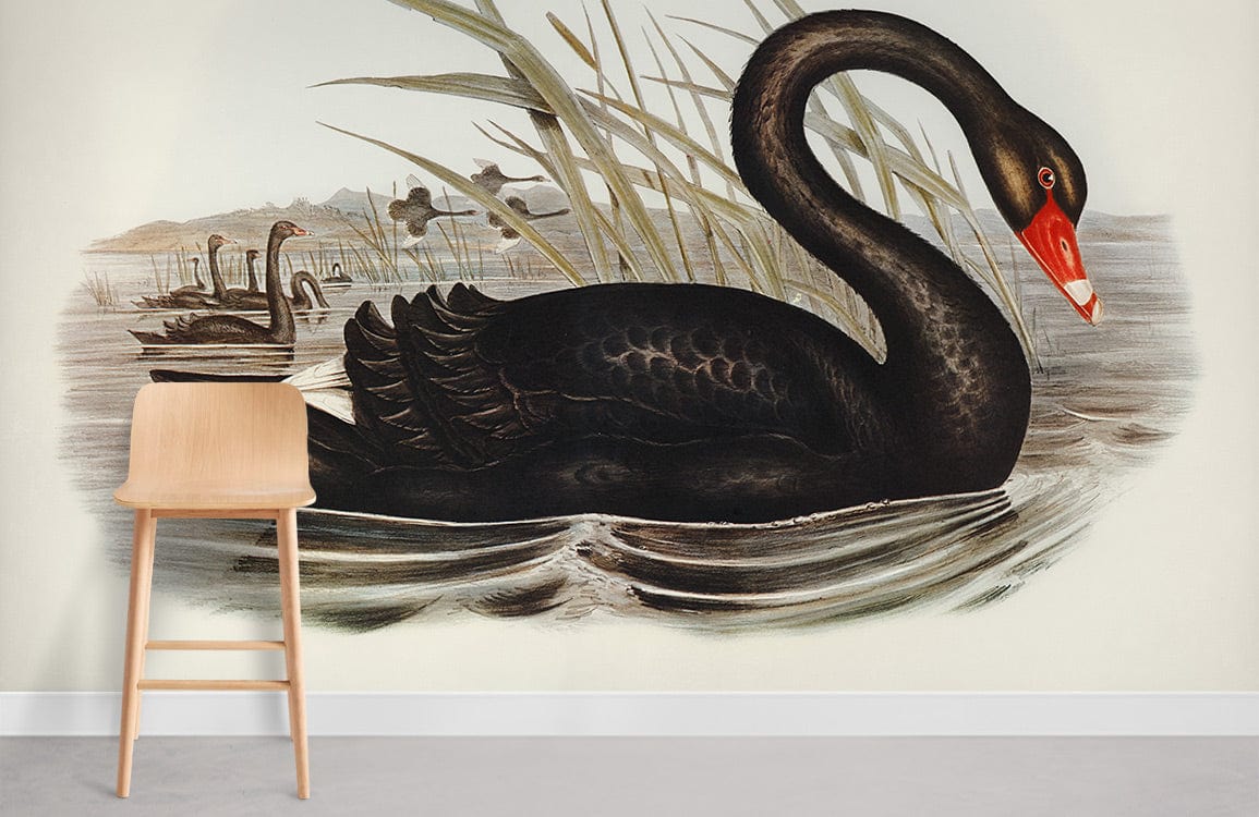 Illustration vintage de cygne noir pour papier peint mural cygne noir et mural cygne