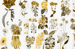 Papier peint mural botanique éclat de nature et élégance - Vignette | Mr Papier Peint