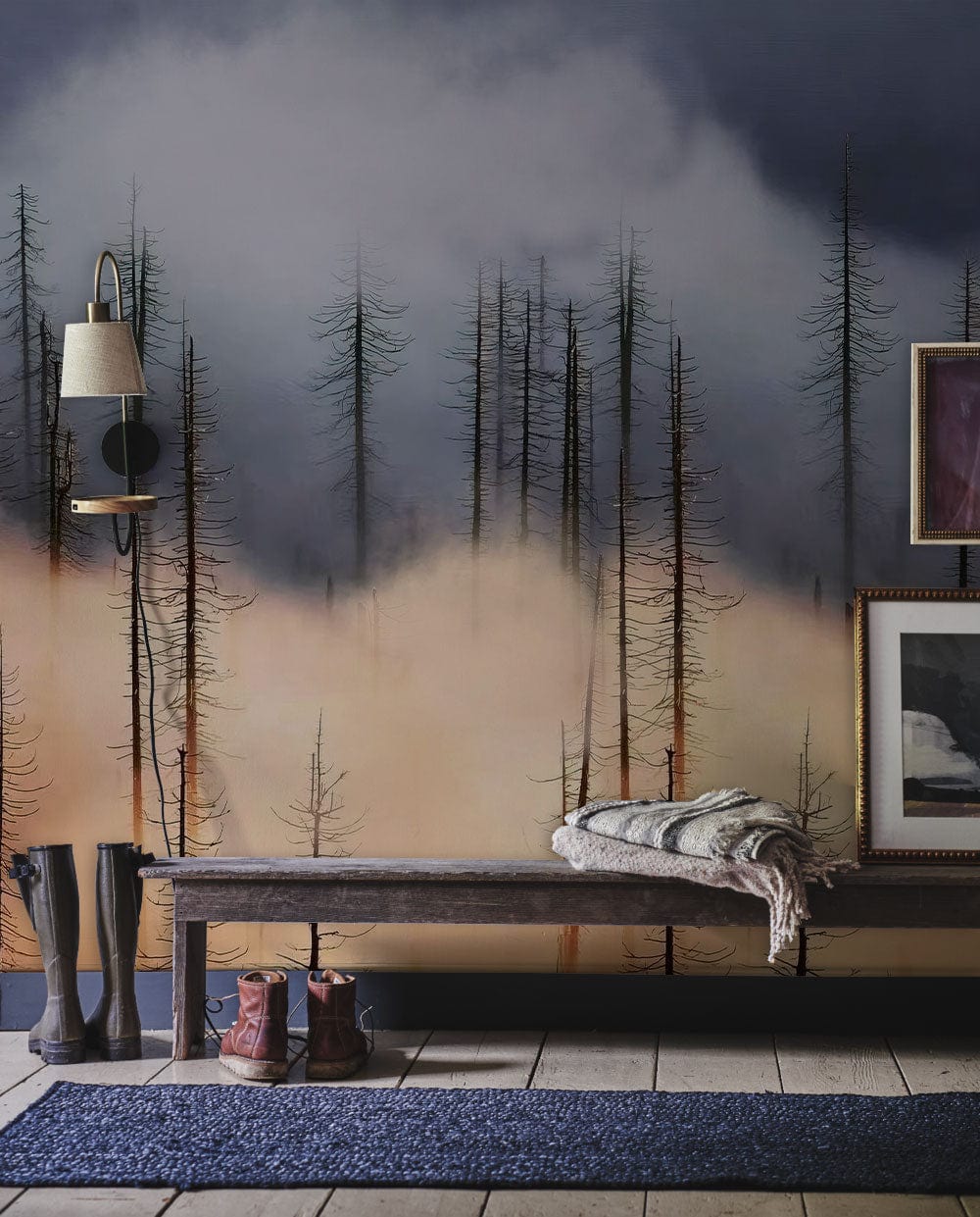Papier peint mural forêt brumeuse avec arbres sombres et éclat chaud à la base