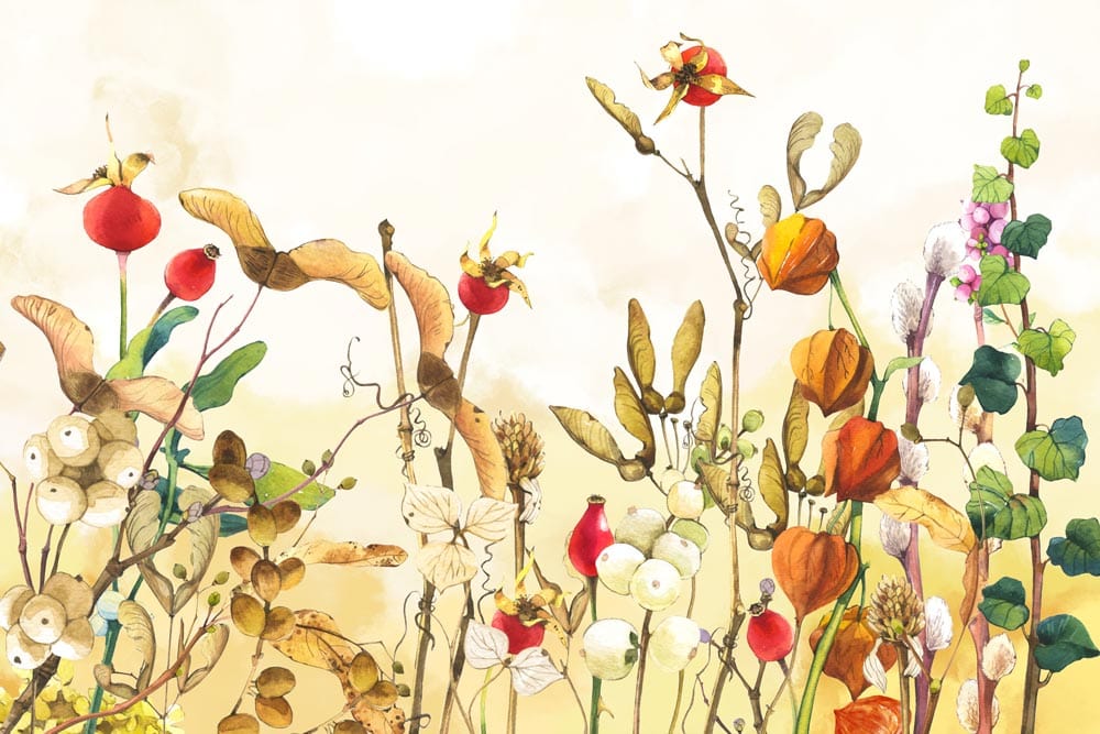 Vibrant watercolor autumn flora papier peint mural pour décoration intérieur Papier Peint Mural de Buisson de Coton