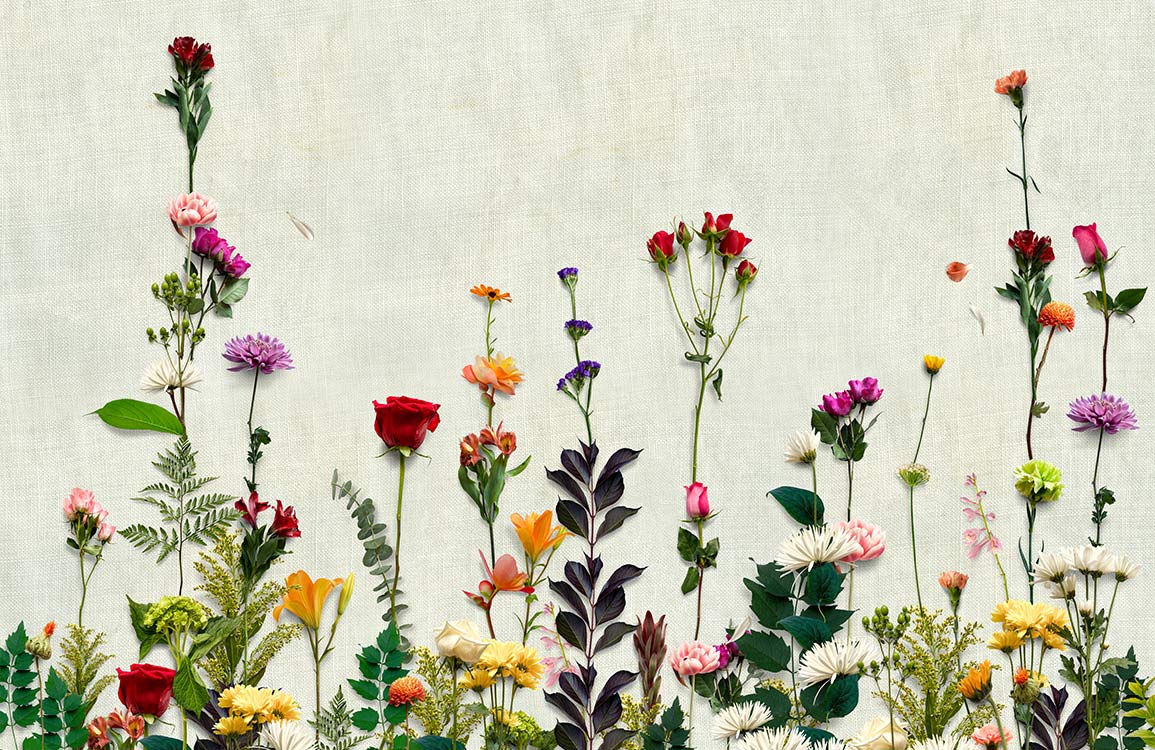 Papier peint mural avec une collection vibrante de fleurs séchées et feuillage