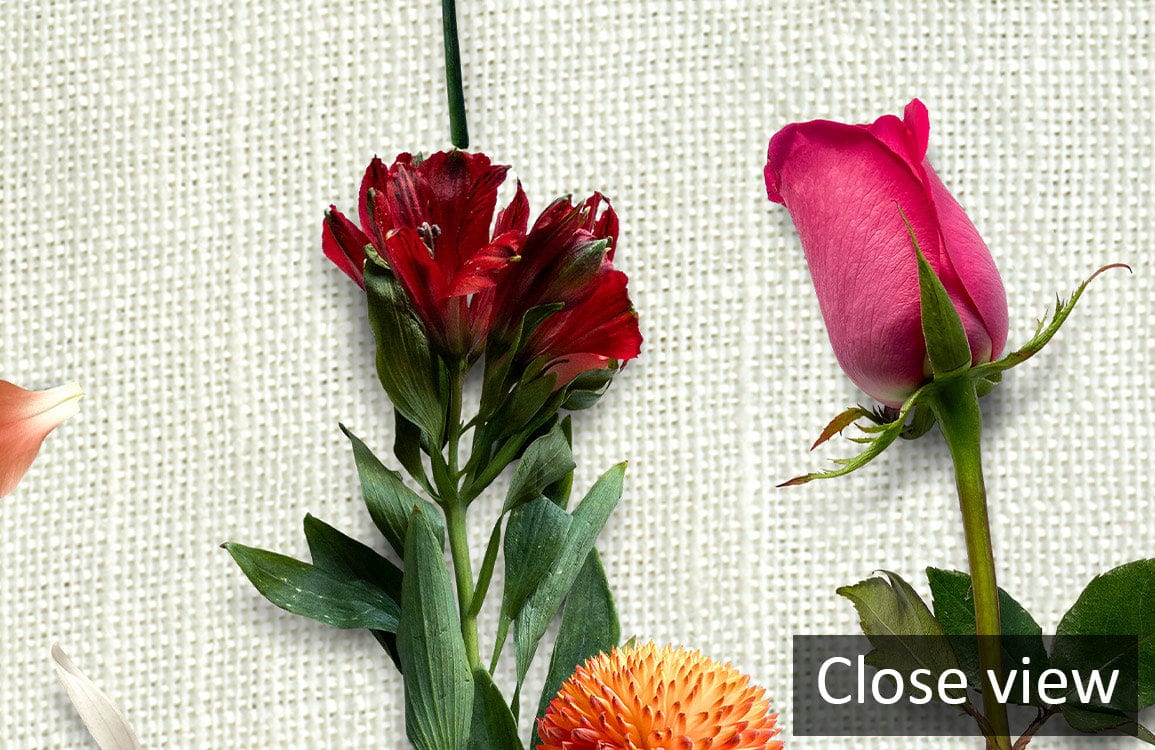 Papier peint mural avec alstroemeria rouge fraîche et bouton de rose rose pâle