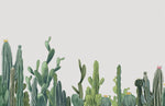 Papier Peint Mural de Cactus Vert - Vignette | Mr Papier Peint