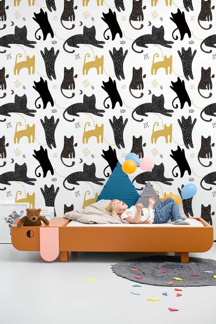 Papier peint mural de Cartoon Cat - Le meilleur Papier peint panoramique Sur mesure