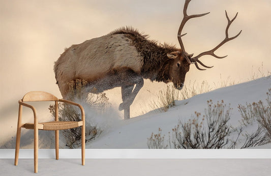 Papier peint mural de cerf élaphe dans la neige - Le meilleur Papier peint panoramique Sur mesure