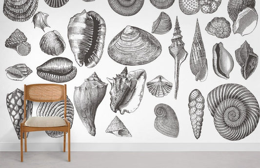Papier peint mural de coquillages - Le meilleur Papier peint panoramique Sur mesure