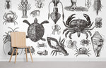 Papier peint mural de créatures marines - Vignette | Mr Papier Peint