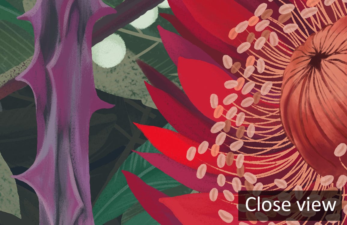 Papier peint mural avec une protea rouge et rose aux épines, design floral épineux