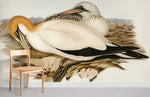 Papier peint mural Fous de Bassan sur rivage exotique - Vignette | Mr Papier Peint