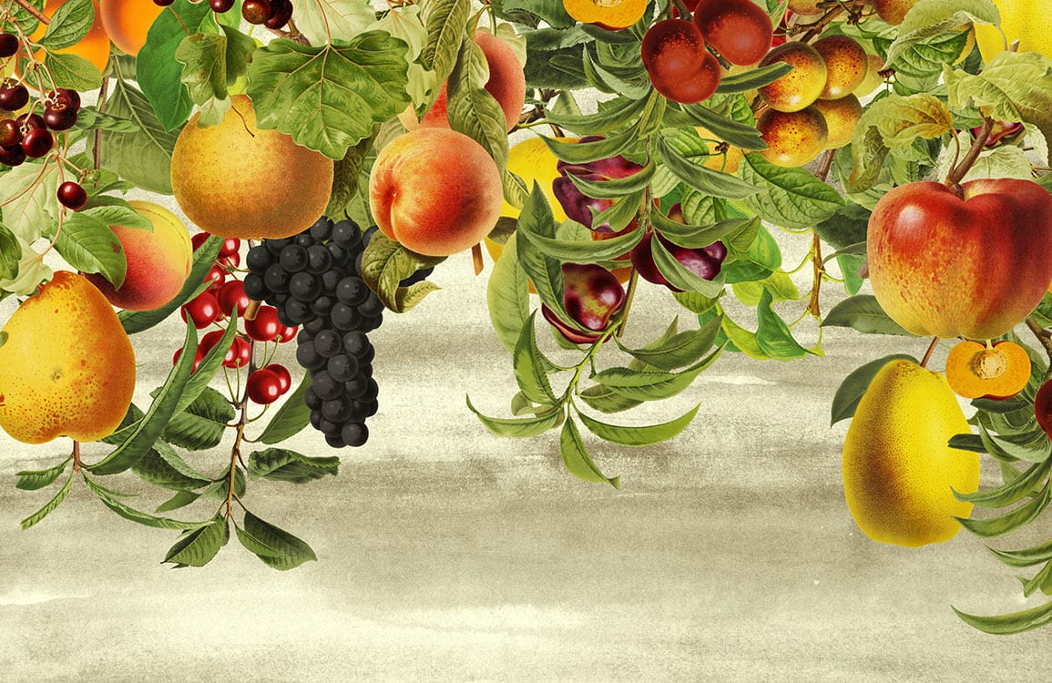Papier peint mural fruits suspendus décoration murale avec des fruits frais sur branches